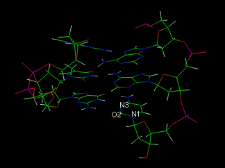 GIF image