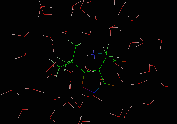 Water cluster