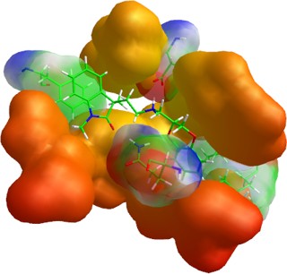 Ligand - receptor complex