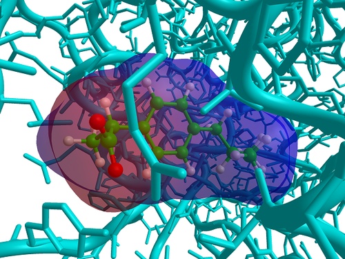 PGH2 synthase I - ibuprofen complex