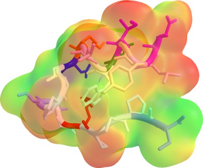 Trp-Cage Miniprotein Construct TC5b