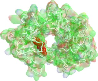 RNA-dependent RNA polymerase of CTV complexed with inhibitor