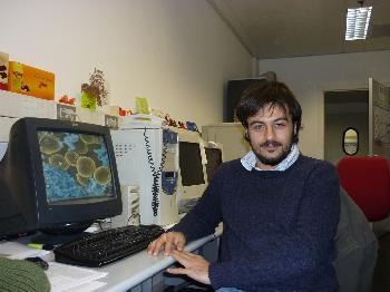 Matteo
