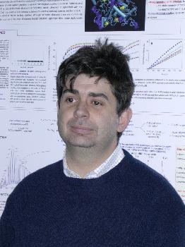 Giulio Vistoli