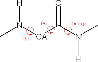 Phi, Psi and Omega torsion angles