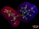 Atropine MEP surface