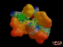 Ligand - receptor complex