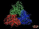 Glutamate transporter EAAT1 trimer