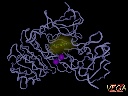 Luciferase complex