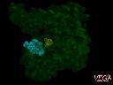 Citrate synthase