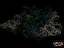 Aspartyl-tRNA syntethase